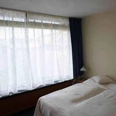 De Schelp Daire
