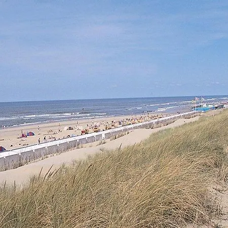 De Schelp Bergen aan Zee